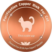 Kitten Pattern